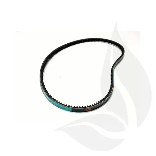 Correa tracción cortacésped STIHL y VIKING